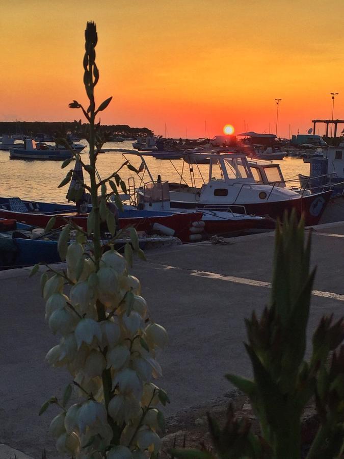 La Casa Di Ada E Gigi Vacanze Porto Cesareo Kültér fotó